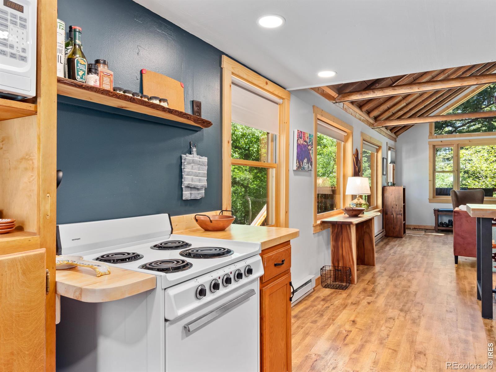 MLS Image #19 for 1062  ramshorn road,estes park, Colorado