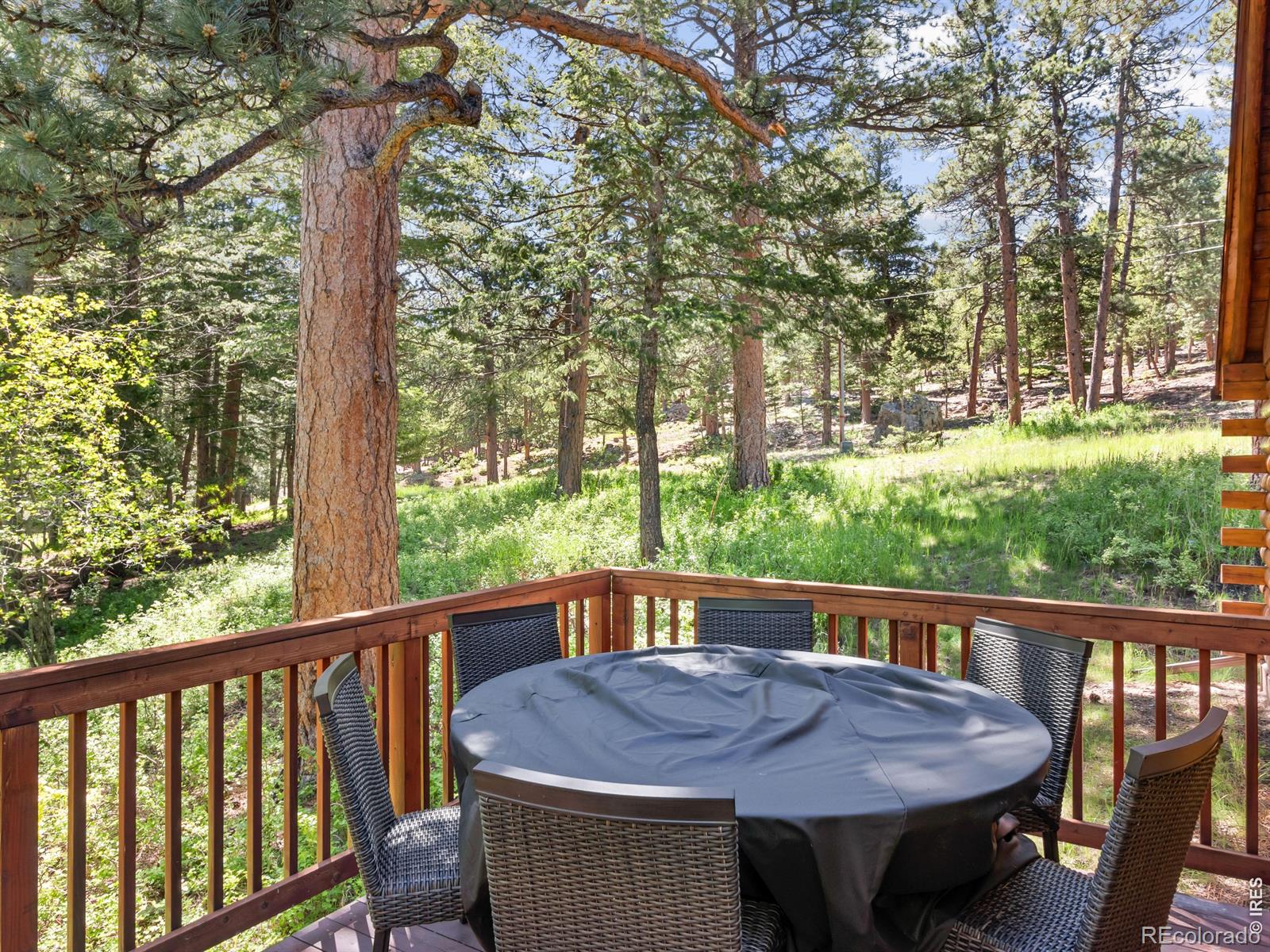 MLS Image #2 for 1062  ramshorn road,estes park, Colorado