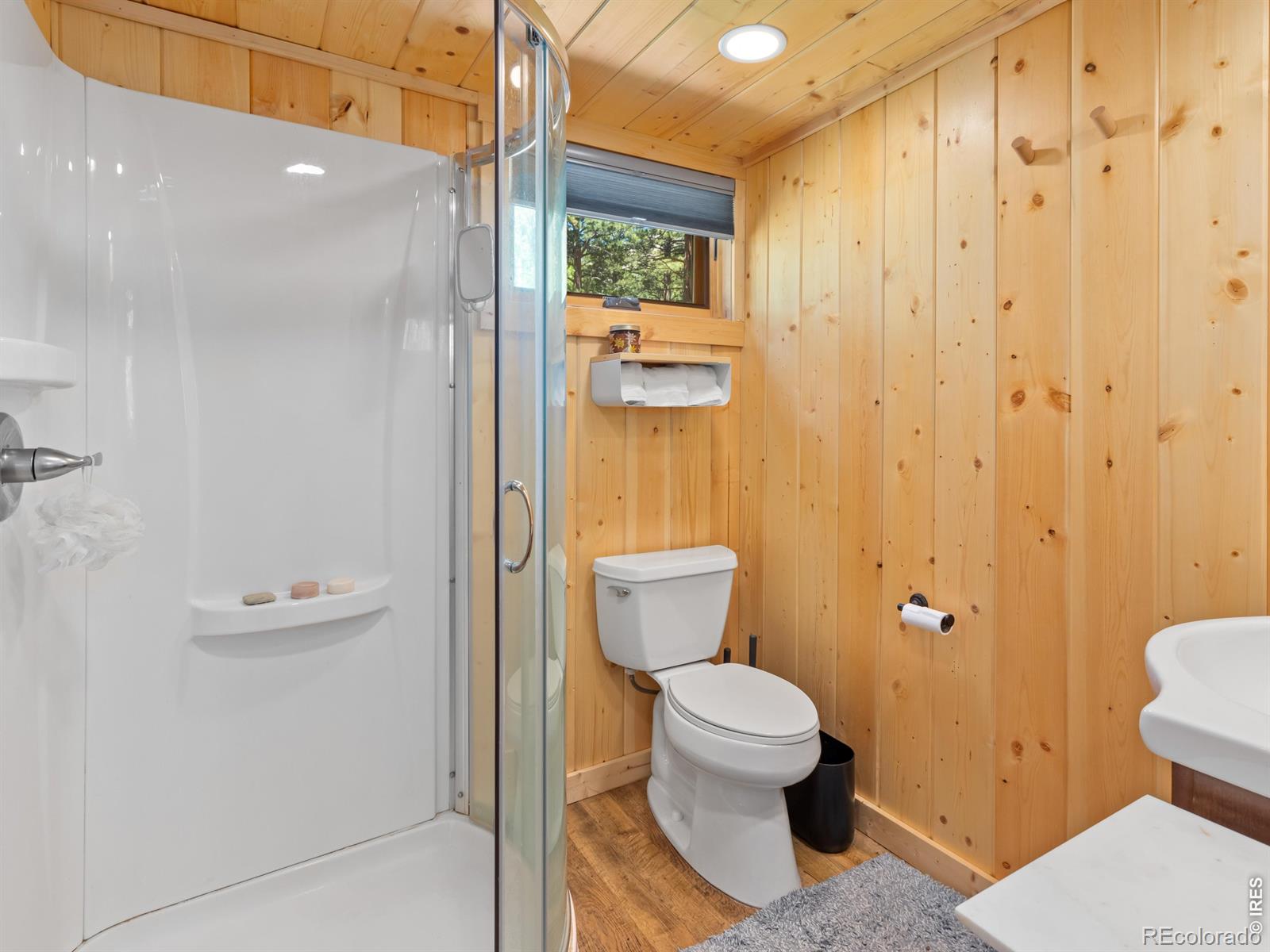 MLS Image #21 for 1062  ramshorn road,estes park, Colorado
