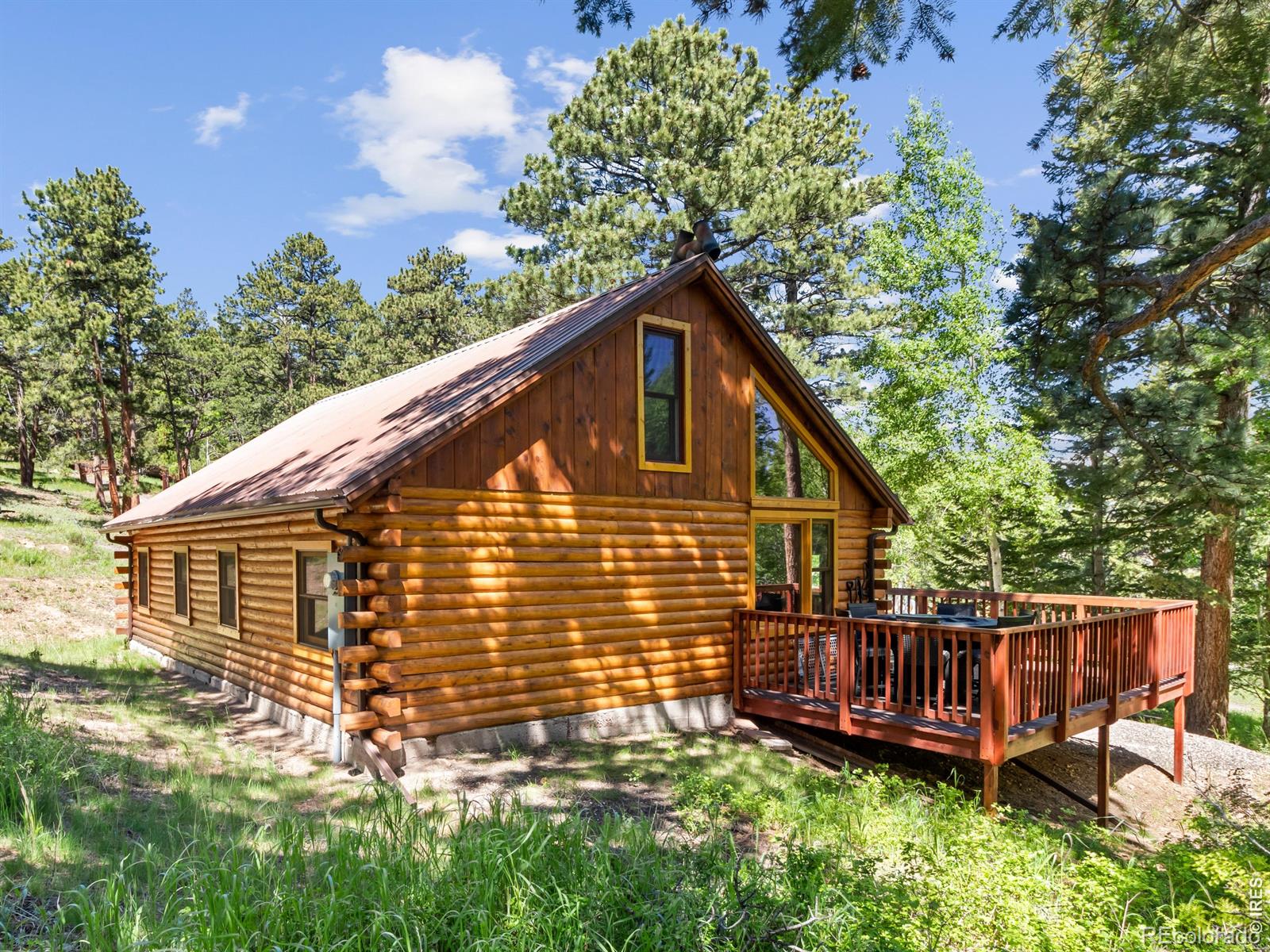 MLS Image #7 for 1062  ramshorn road,estes park, Colorado