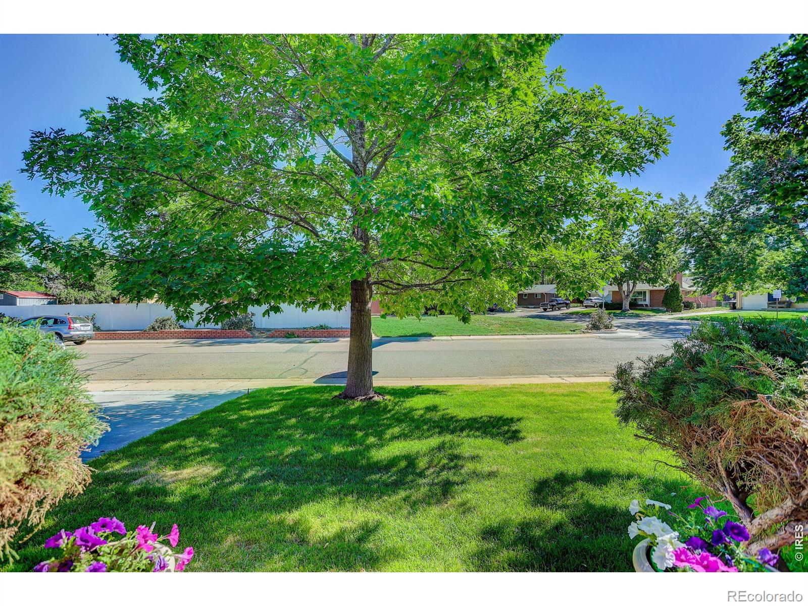 MLS Image #3 for 1431 s magnolia way,denver, Colorado