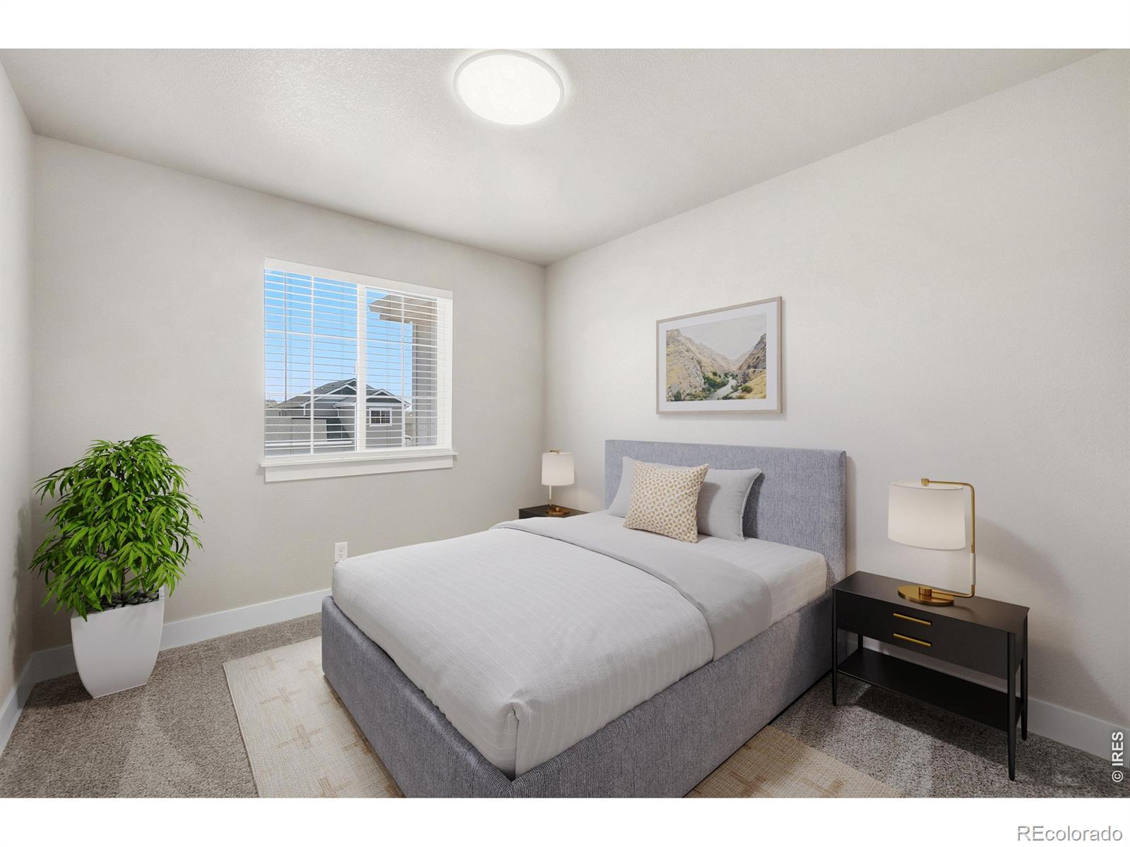 MLS Image #10 for 1751  avery plaza street,severance, Colorado
