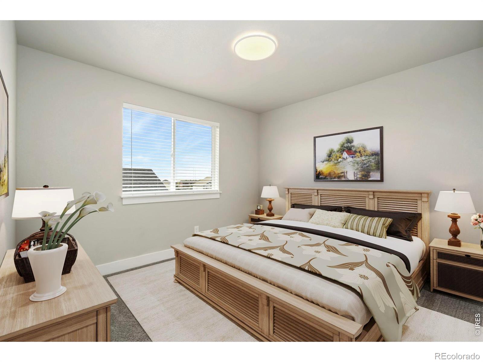 MLS Image #10 for 1753  avery plaza street,severance, Colorado