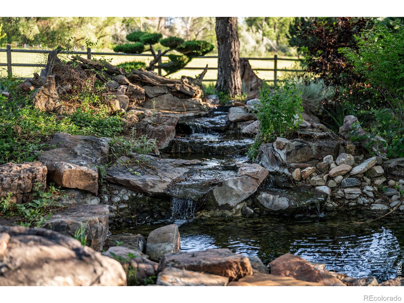 MLS Image #48 for 6644  bird cliff way,niwot, Colorado