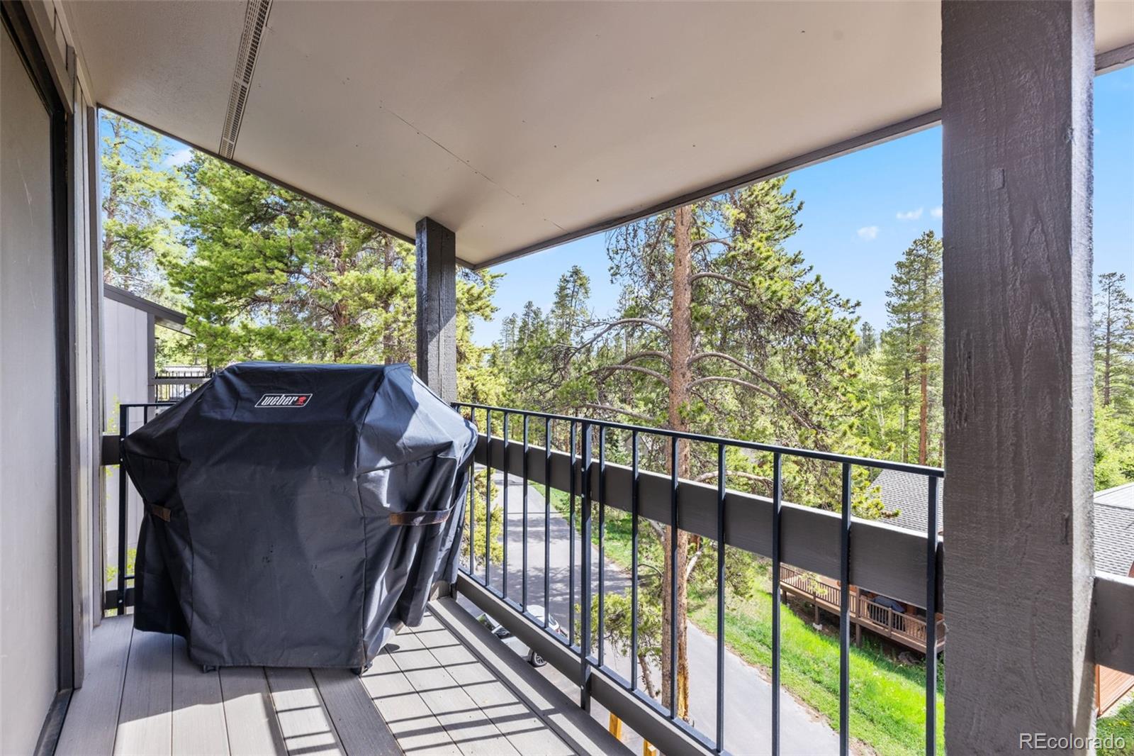 MLS Image #3 for 1127  ski hill road,breckenridge, Colorado