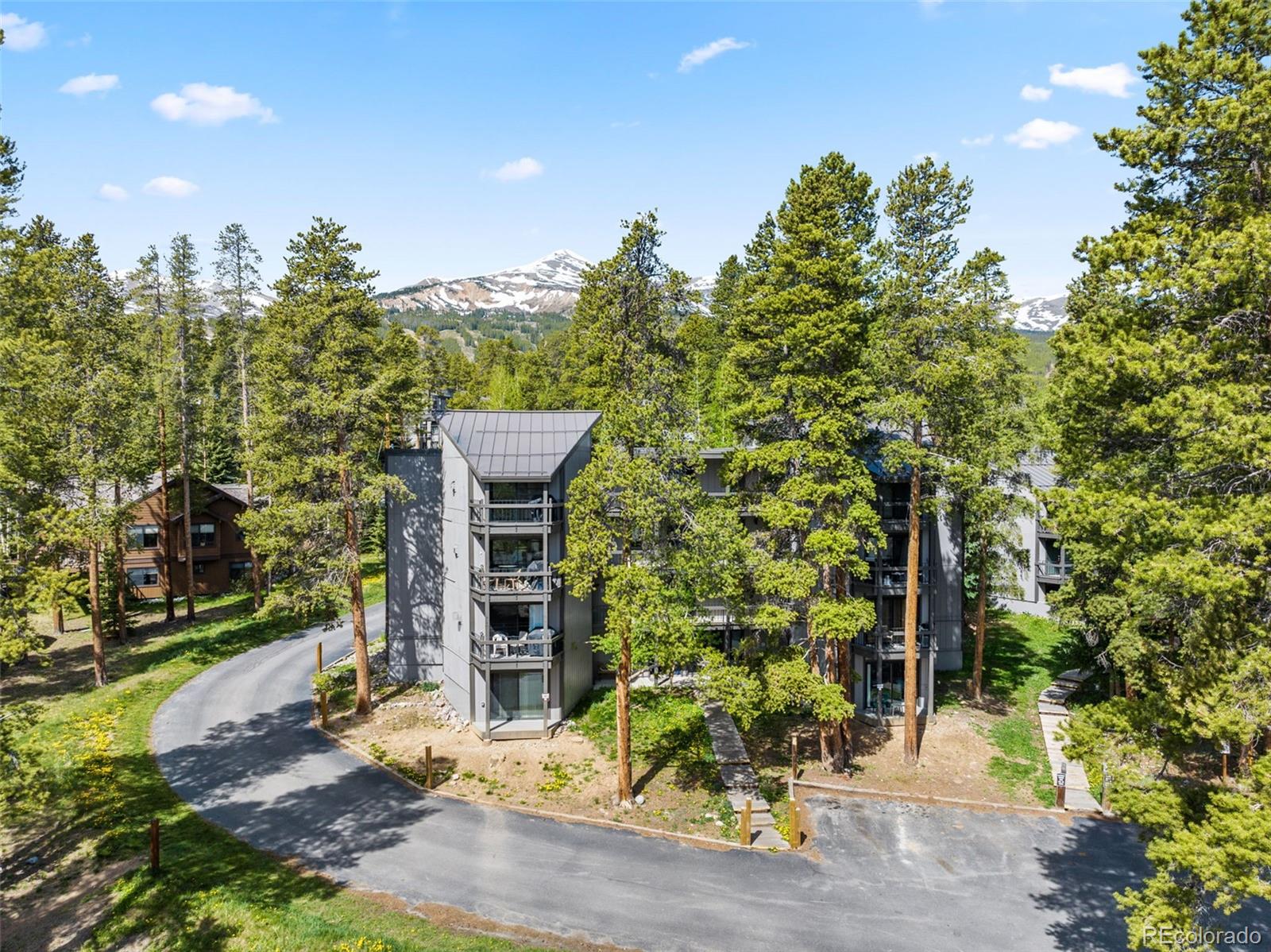 MLS Image #5 for 1127  ski hill road,breckenridge, Colorado