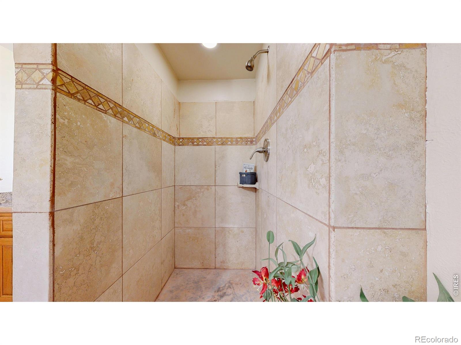 MLS Image #13 for 322  maple avenue,eaton, Colorado