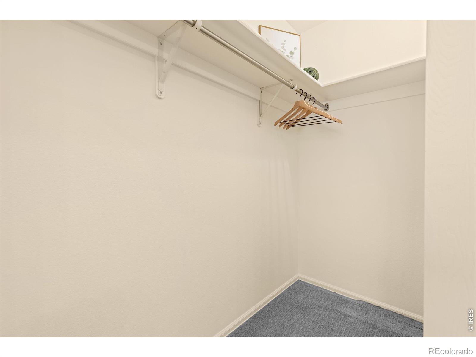 MLS Image #13 for 2874 sw bridalwreath place,loveland, Colorado