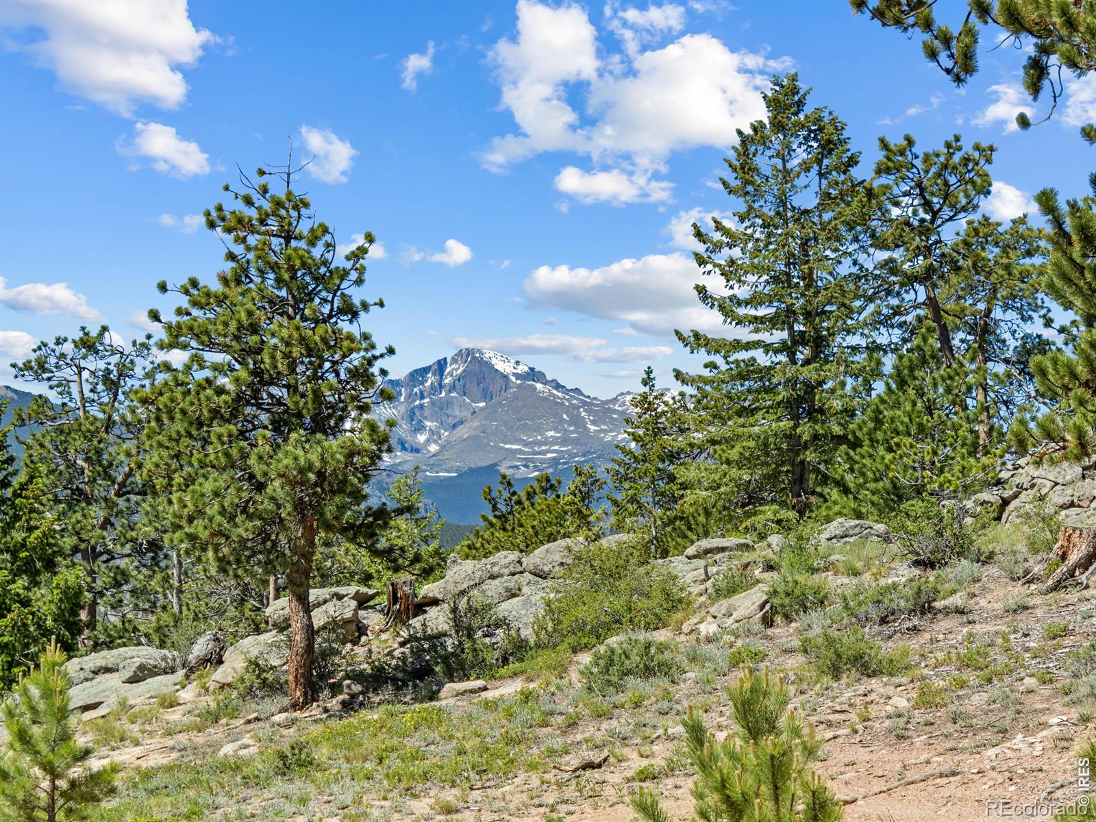MLS Image #1 for 13  ridgewood lane,estes park, Colorado