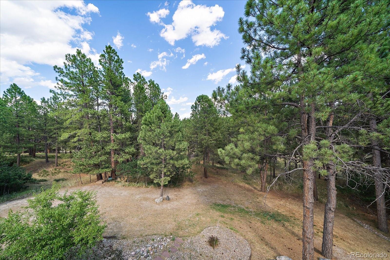 MLS Image #42 for 7928  red hill road,larkspur, Colorado