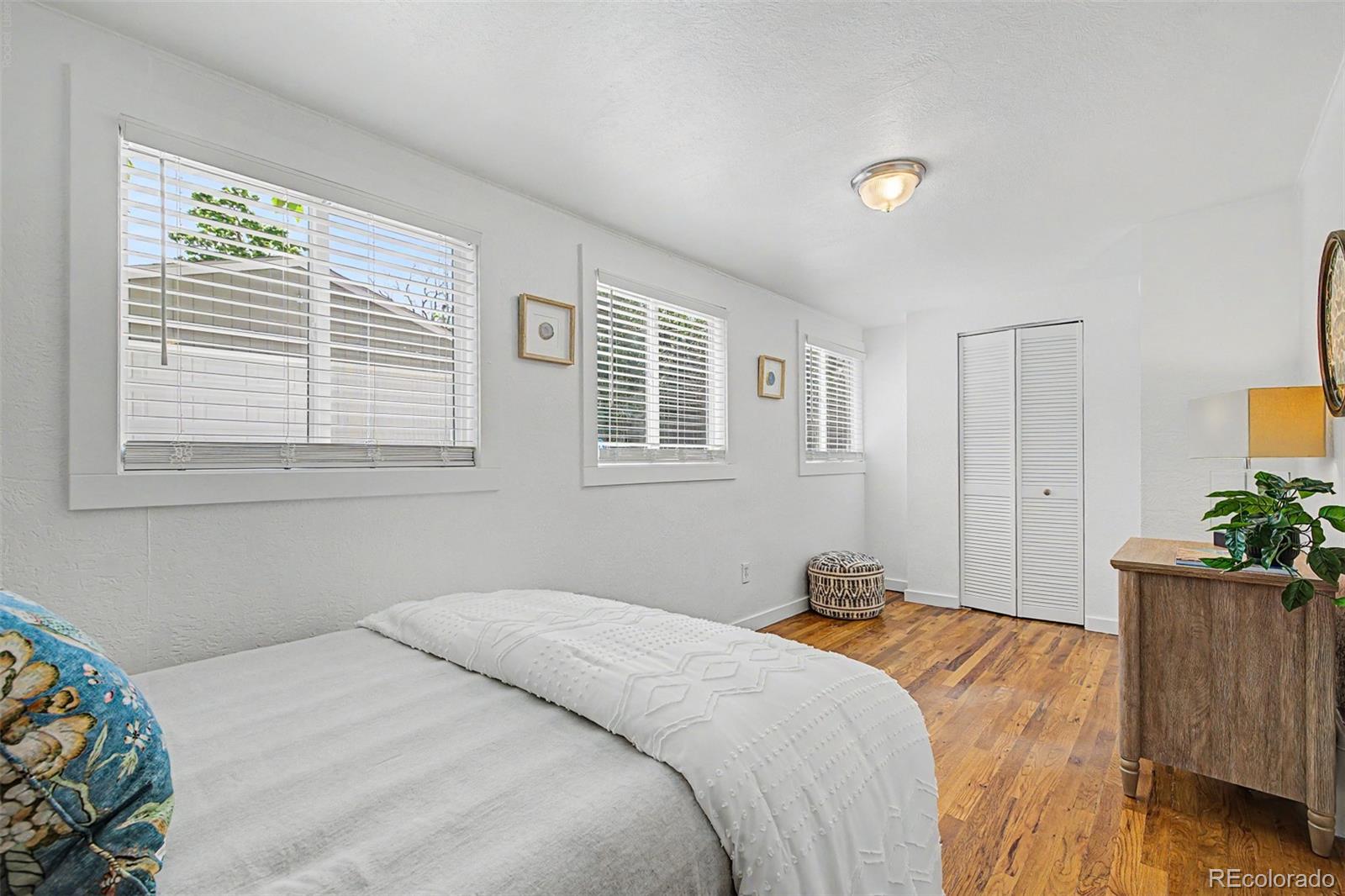 MLS Image #13 for 4997  green court,denver, Colorado