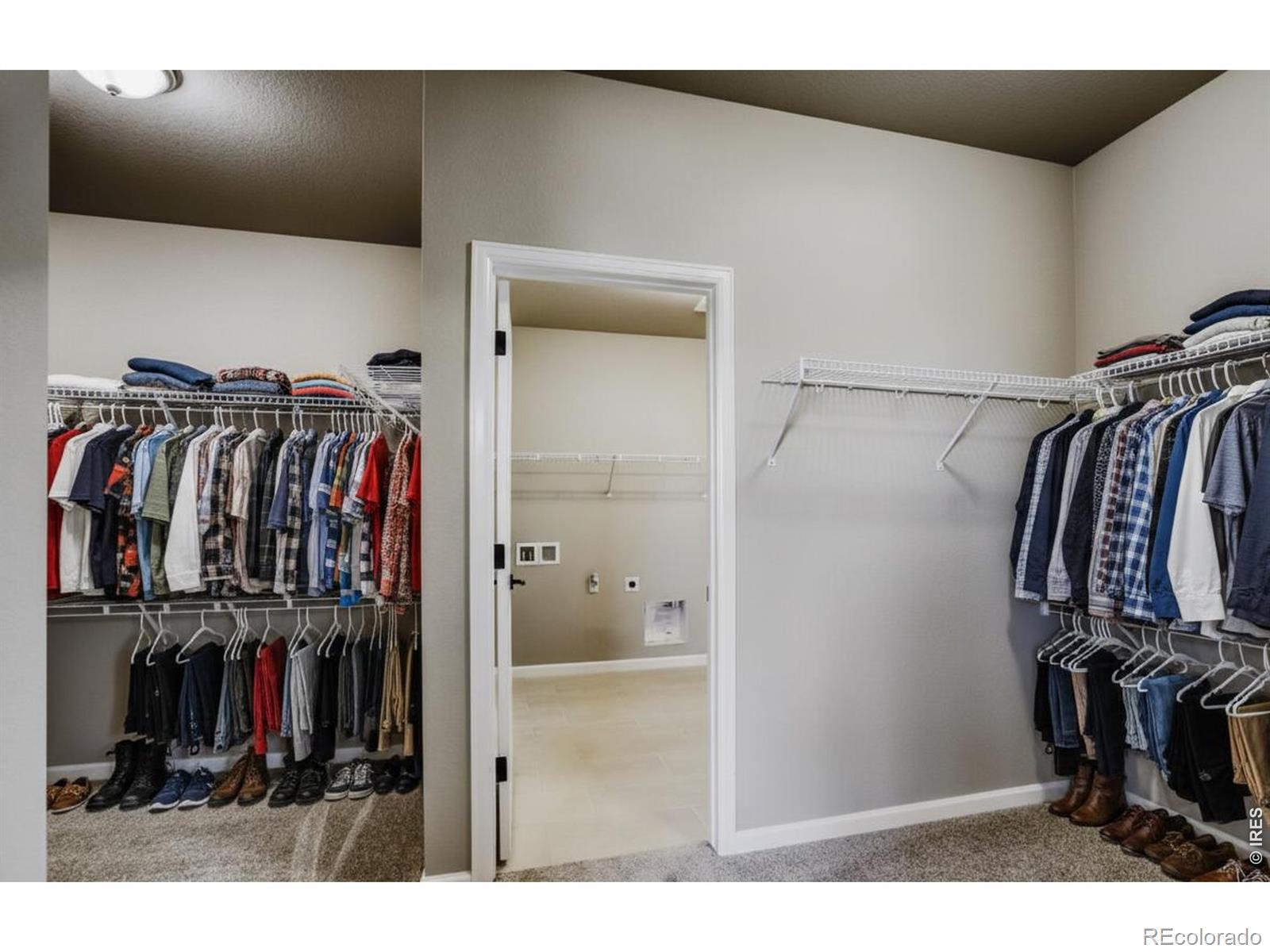 MLS Image #18 for 662  noola street,windsor, Colorado