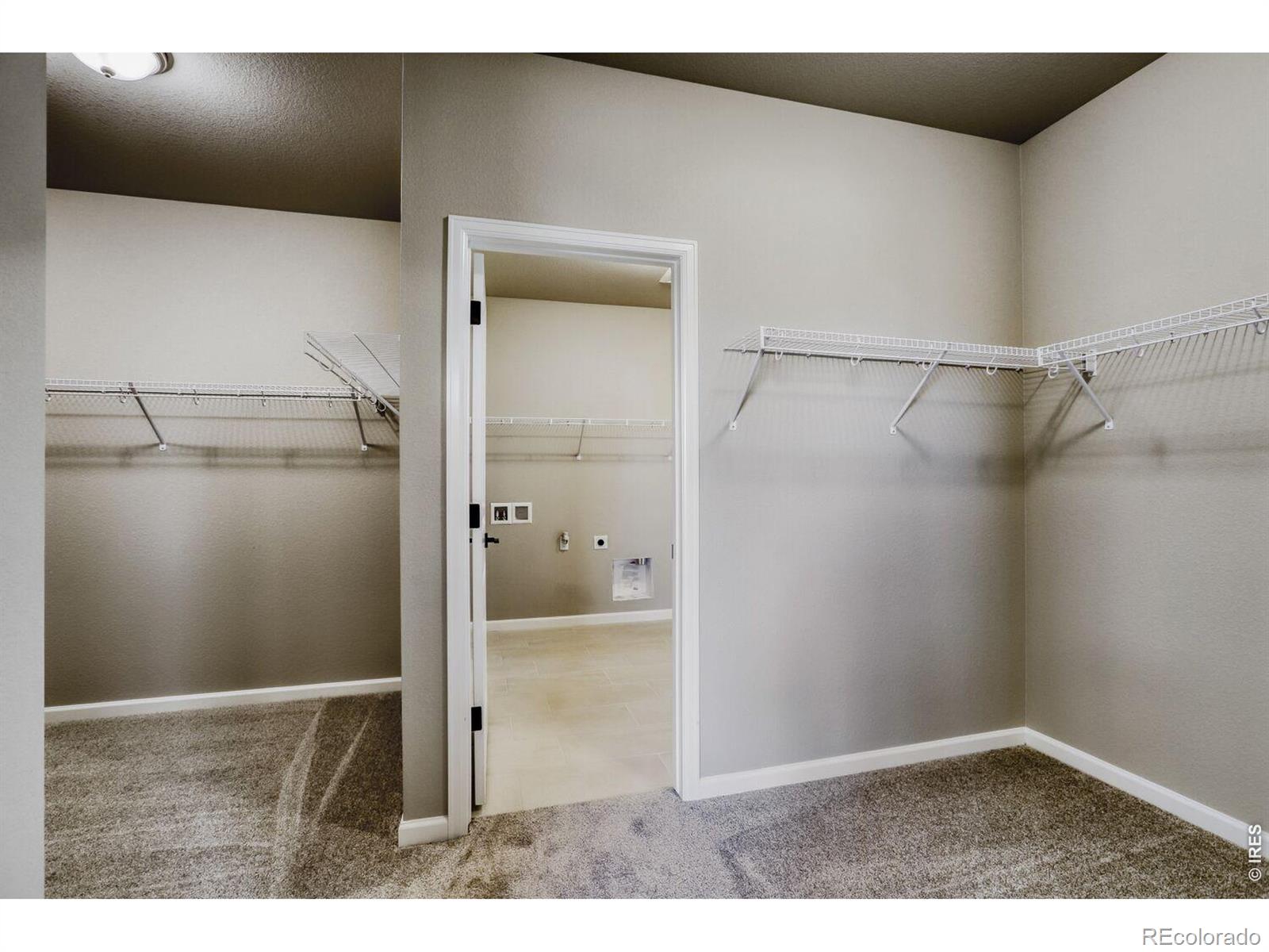 MLS Image #19 for 662  noola street,windsor, Colorado