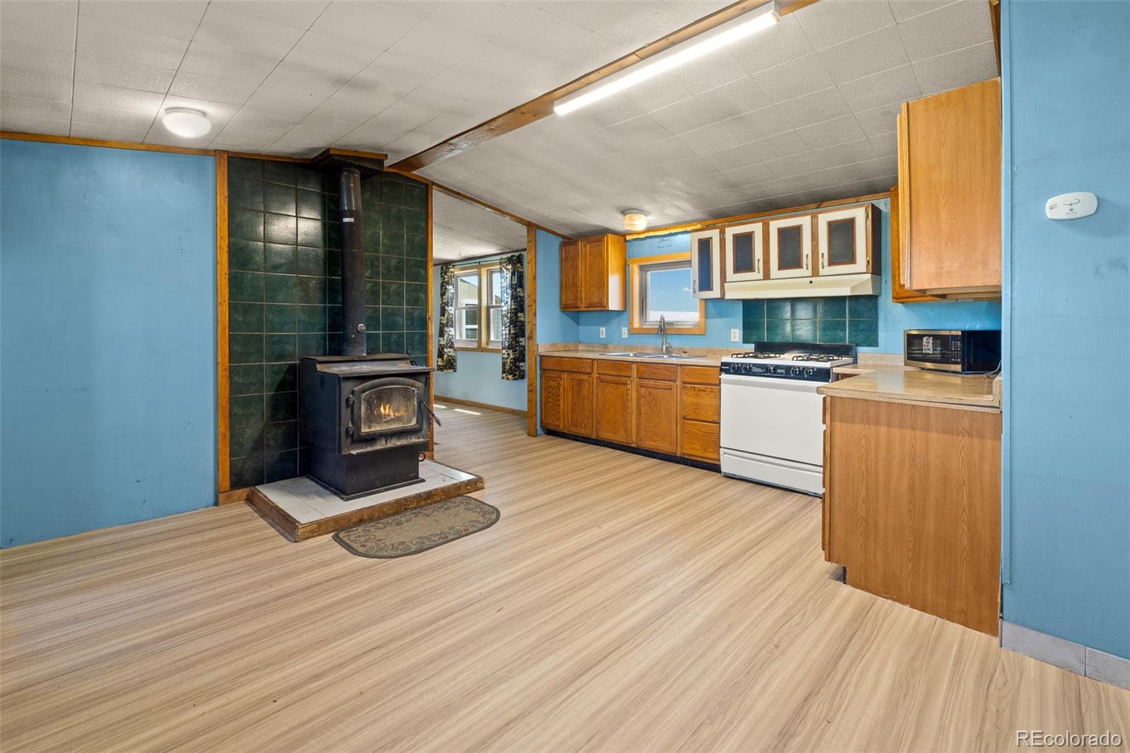 MLS Image #13 for 278  cherokee trail,hartsel, Colorado