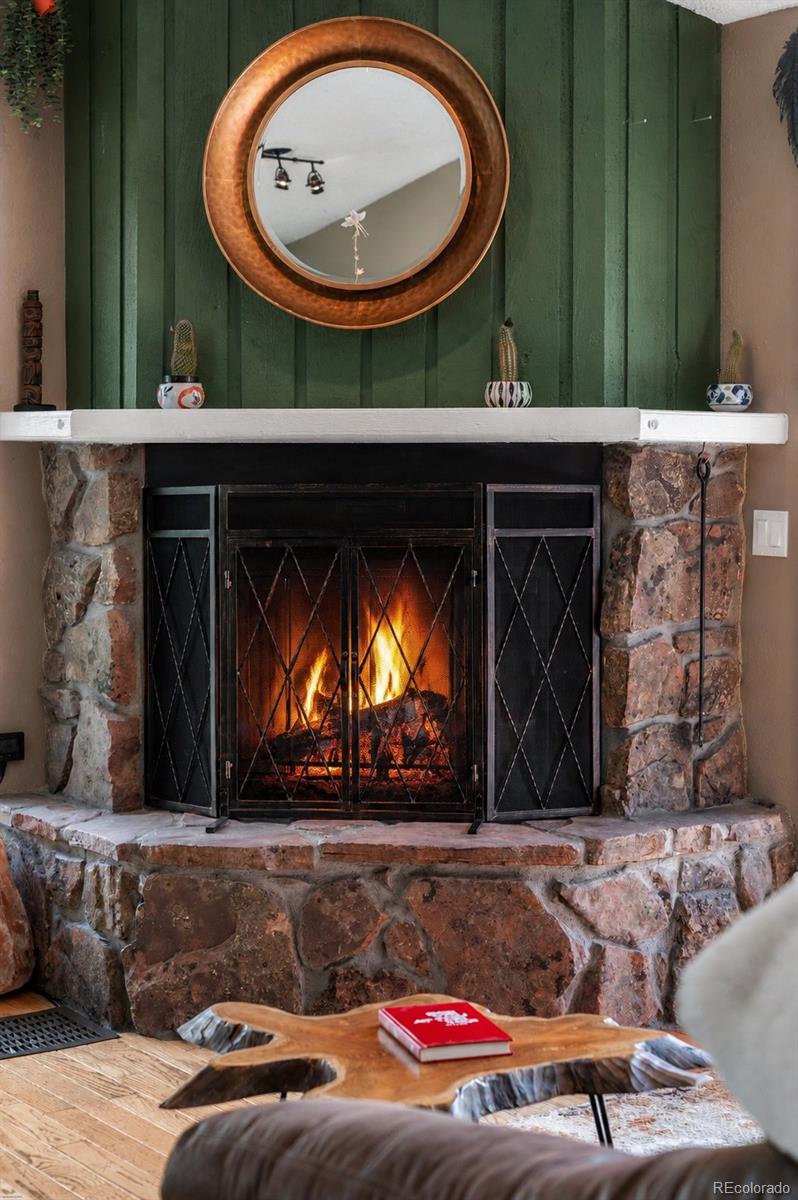 MLS Image #13 for 9030  rex lane,conifer, Colorado