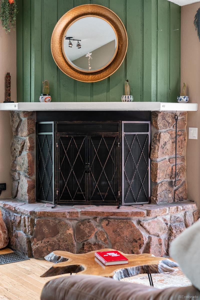 MLS Image #14 for 9030  rex lane,conifer, Colorado
