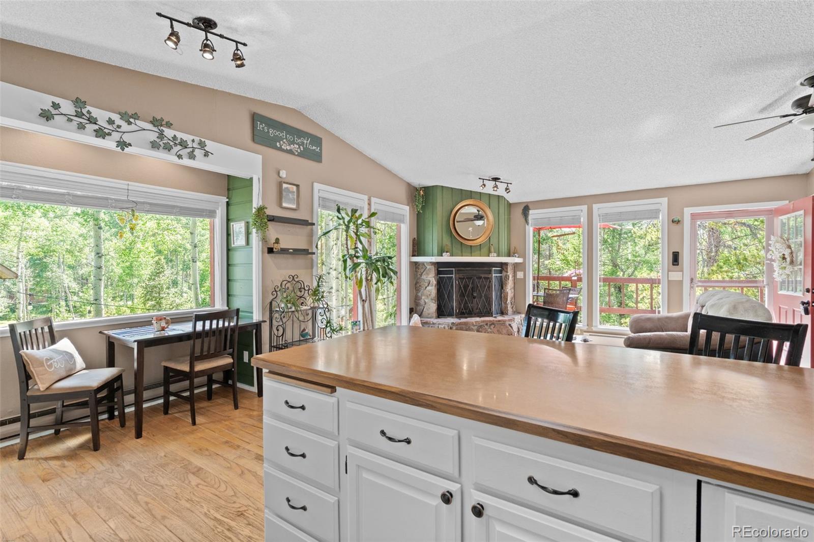 MLS Image #15 for 9030  rex lane,conifer, Colorado
