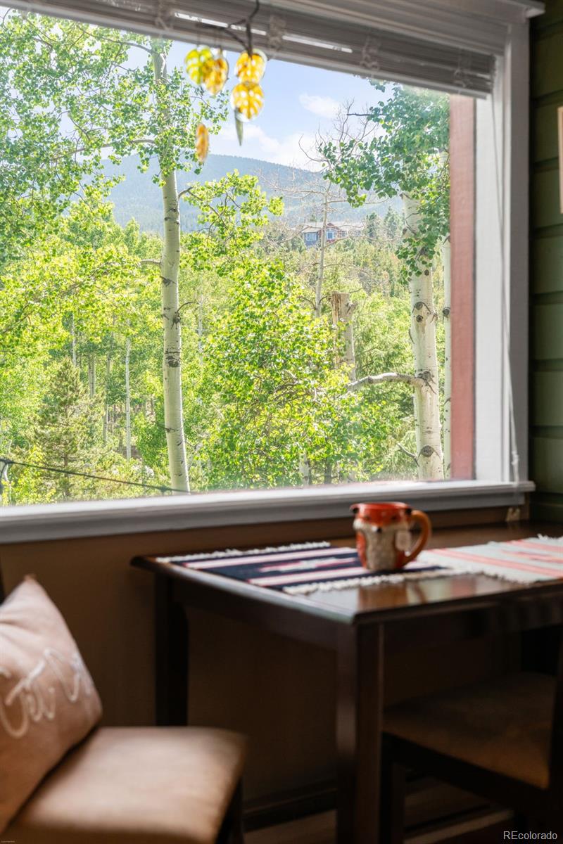 MLS Image #16 for 9030  rex lane,conifer, Colorado