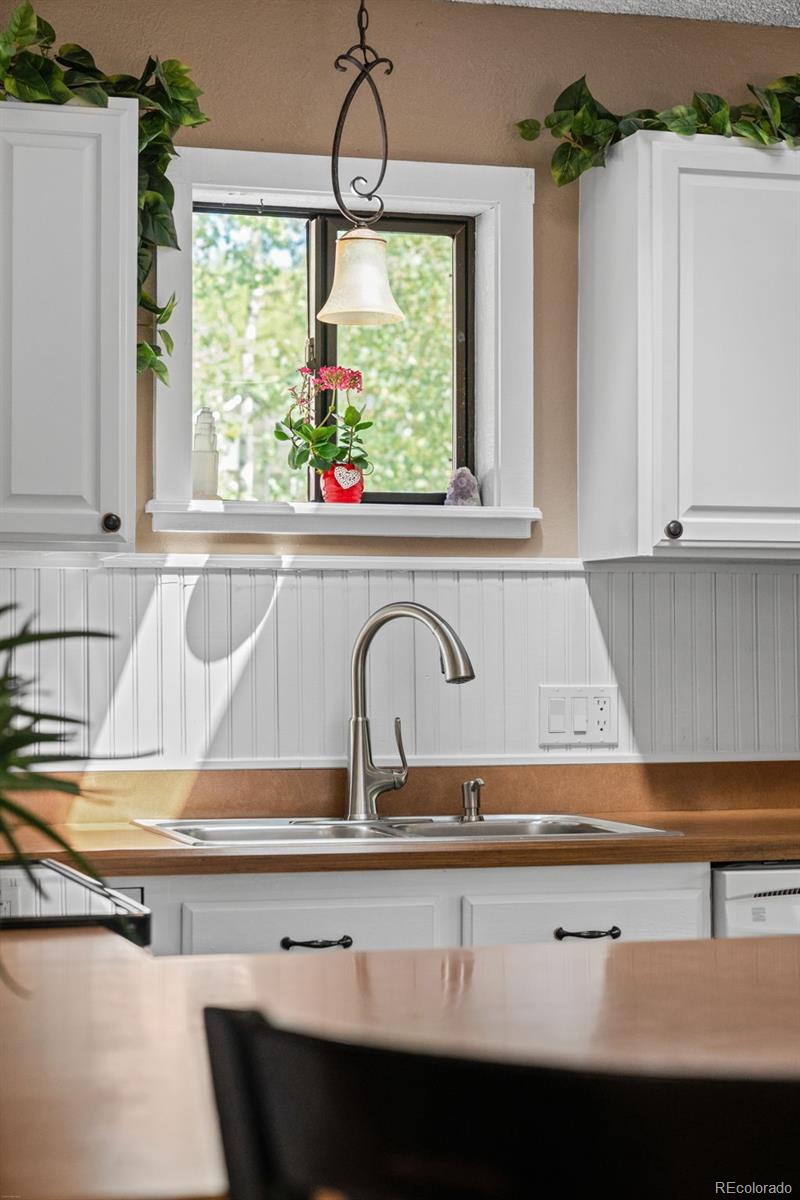 MLS Image #19 for 9030  rex lane,conifer, Colorado