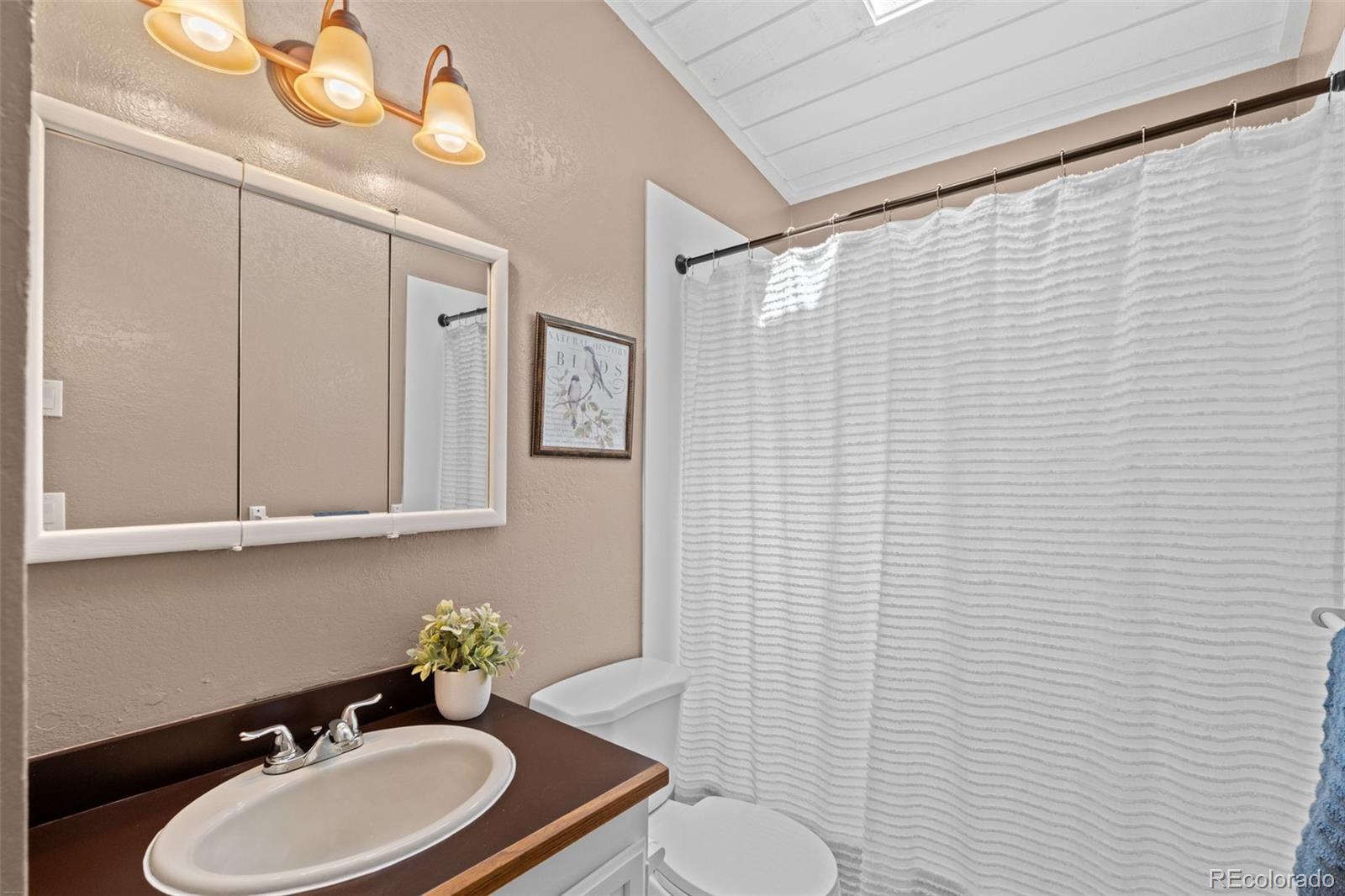 MLS Image #20 for 9030  rex lane,conifer, Colorado