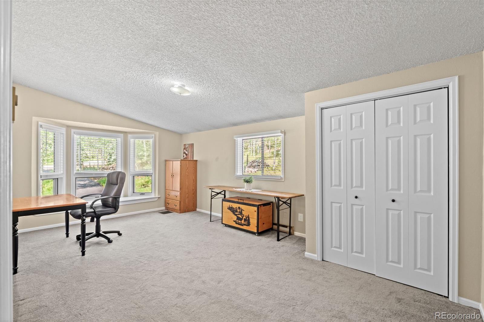 MLS Image #27 for 9030  rex lane,conifer, Colorado