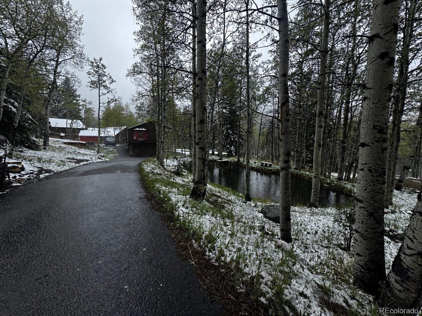 MLS Image #3 for 9030  rex lane,conifer, Colorado
