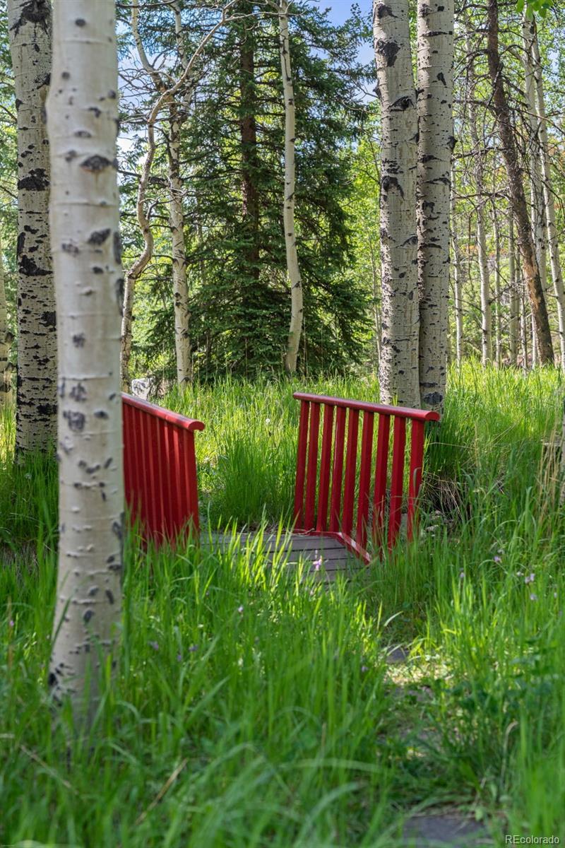 MLS Image #35 for 9030  rex lane,conifer, Colorado
