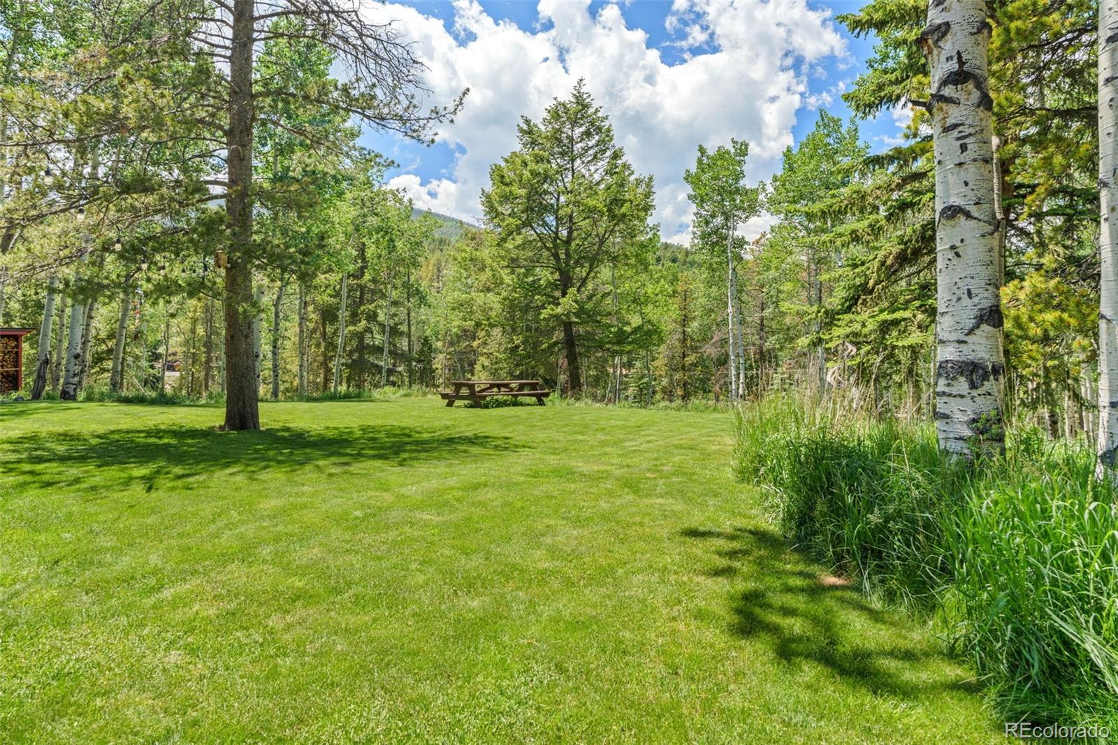 MLS Image #38 for 9030  rex lane,conifer, Colorado