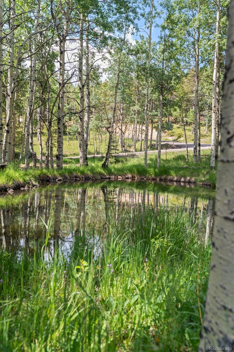 MLS Image #39 for 9030  rex lane,conifer, Colorado