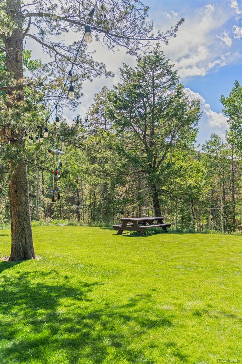 MLS Image #6 for 9030  rex lane,conifer, Colorado