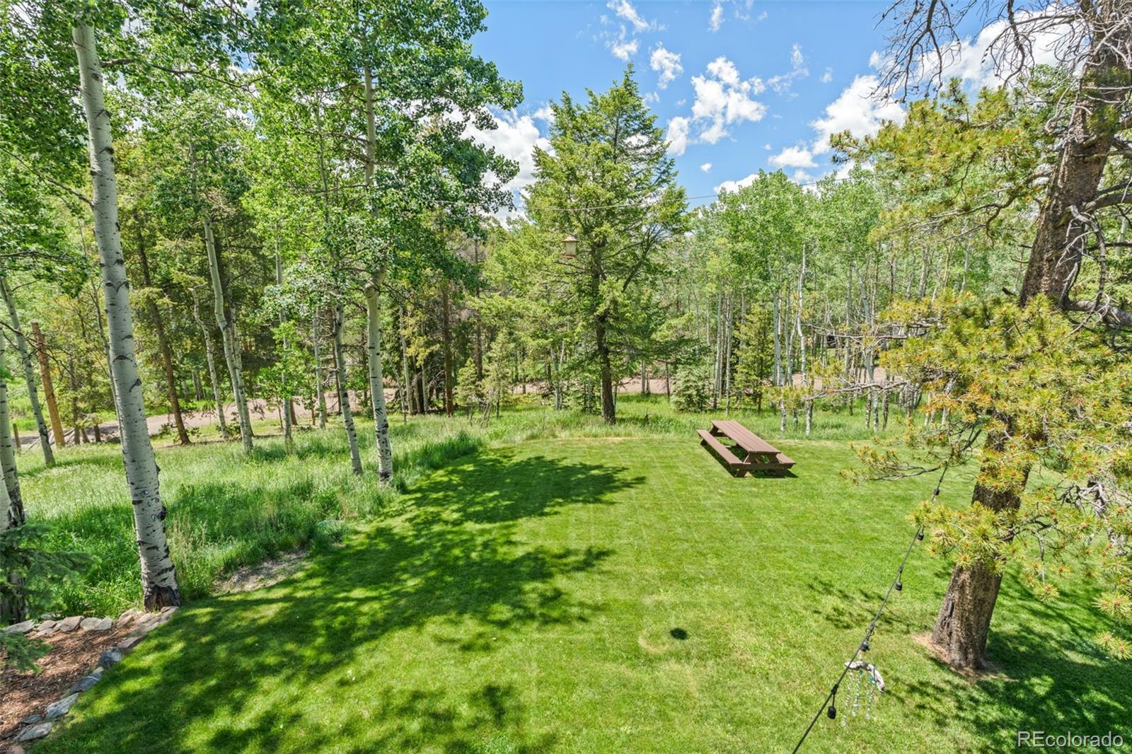 MLS Image #8 for 9030  rex lane,conifer, Colorado