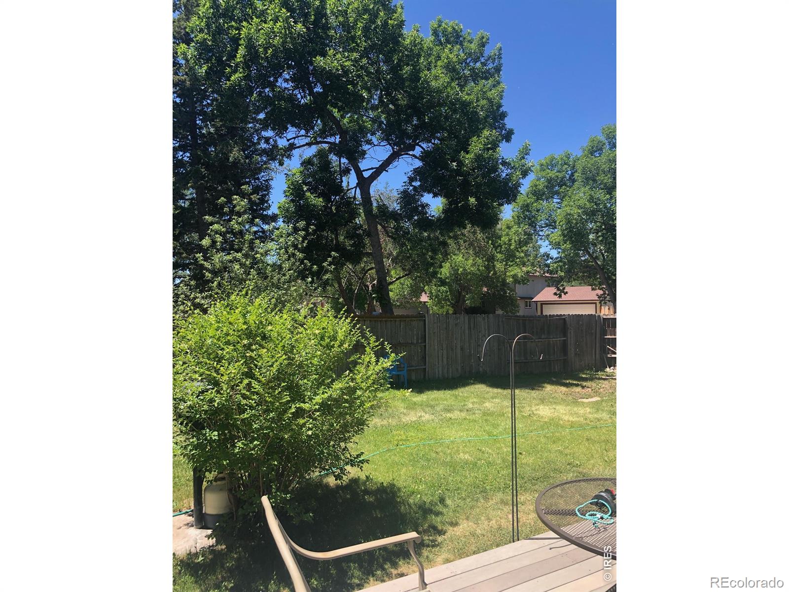 MLS Image #2 for 3133  birmingham drive,fort collins, Colorado