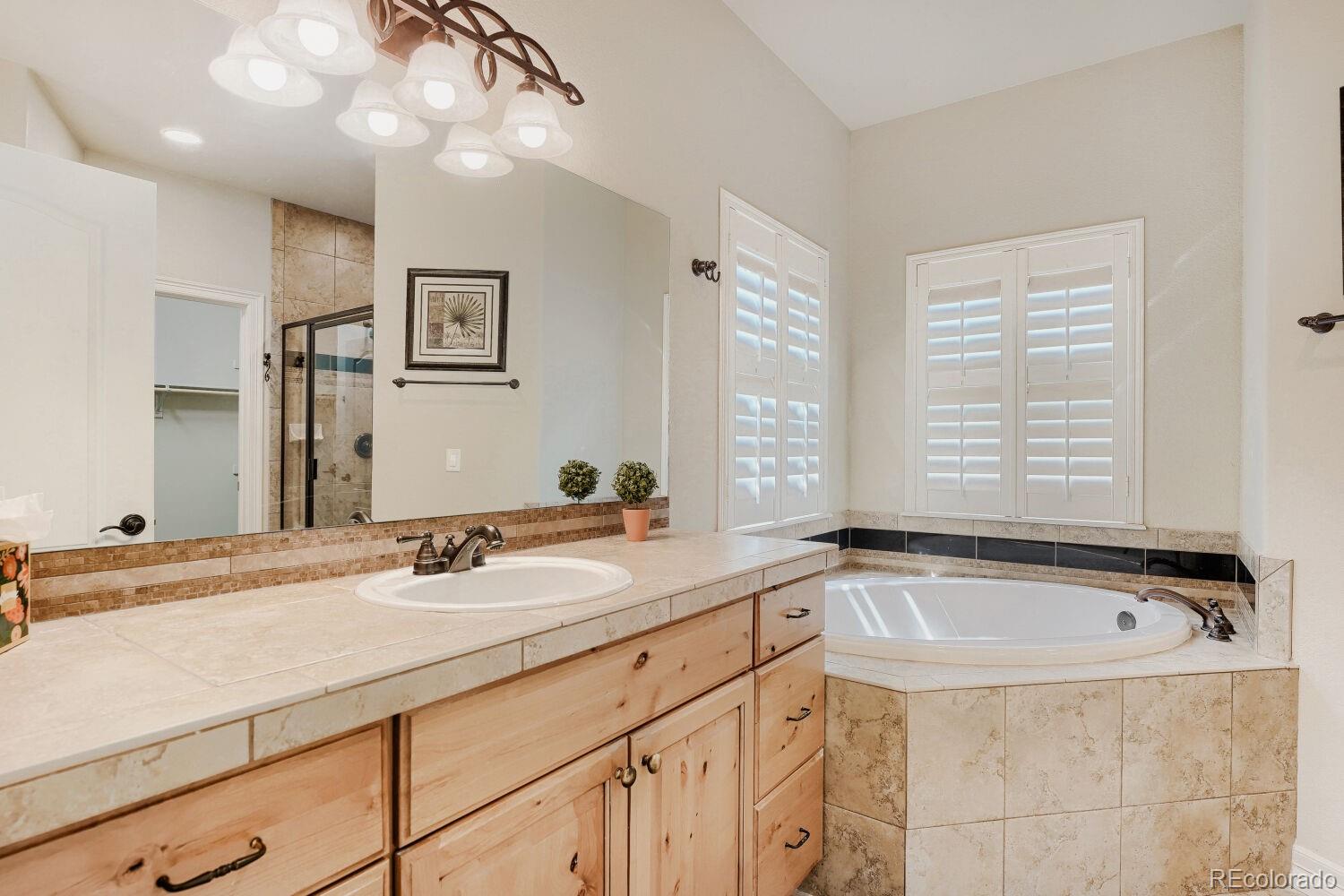 MLS Image #19 for 552  wenlock court,castle rock, Colorado