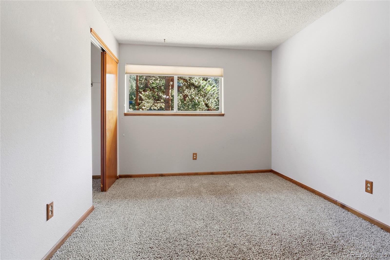 MLS Image #19 for 4148  timbervale drive,evergreen, Colorado
