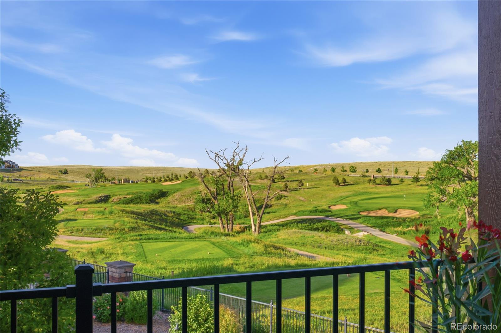 MLS Image #8 for 27822 e long place,aurora, Colorado