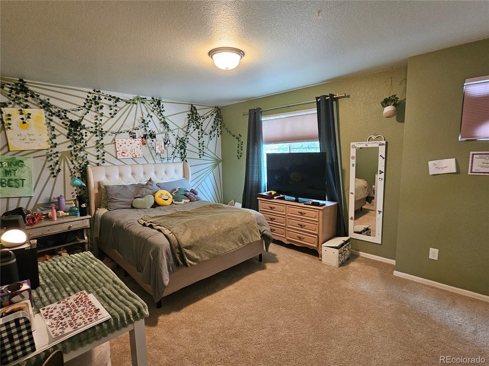 MLS Image #21 for 5185  redbud street,brighton, Colorado
