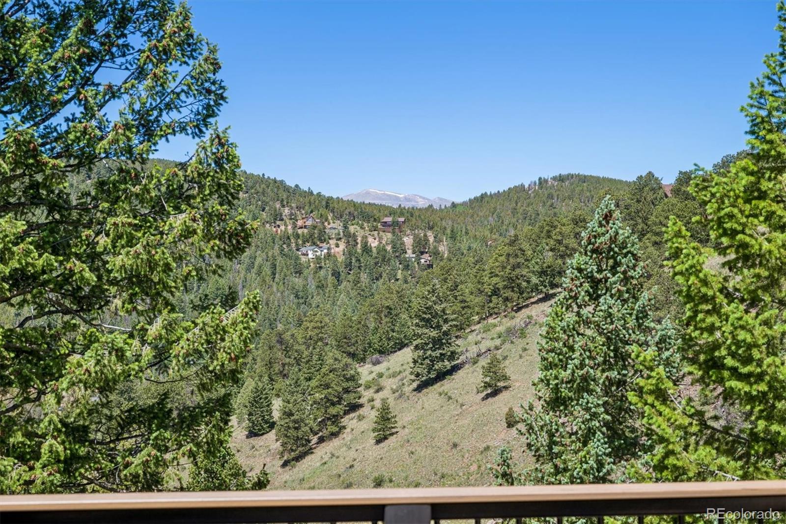 MLS Image #22 for 7147  lodgepole court,evergreen, Colorado