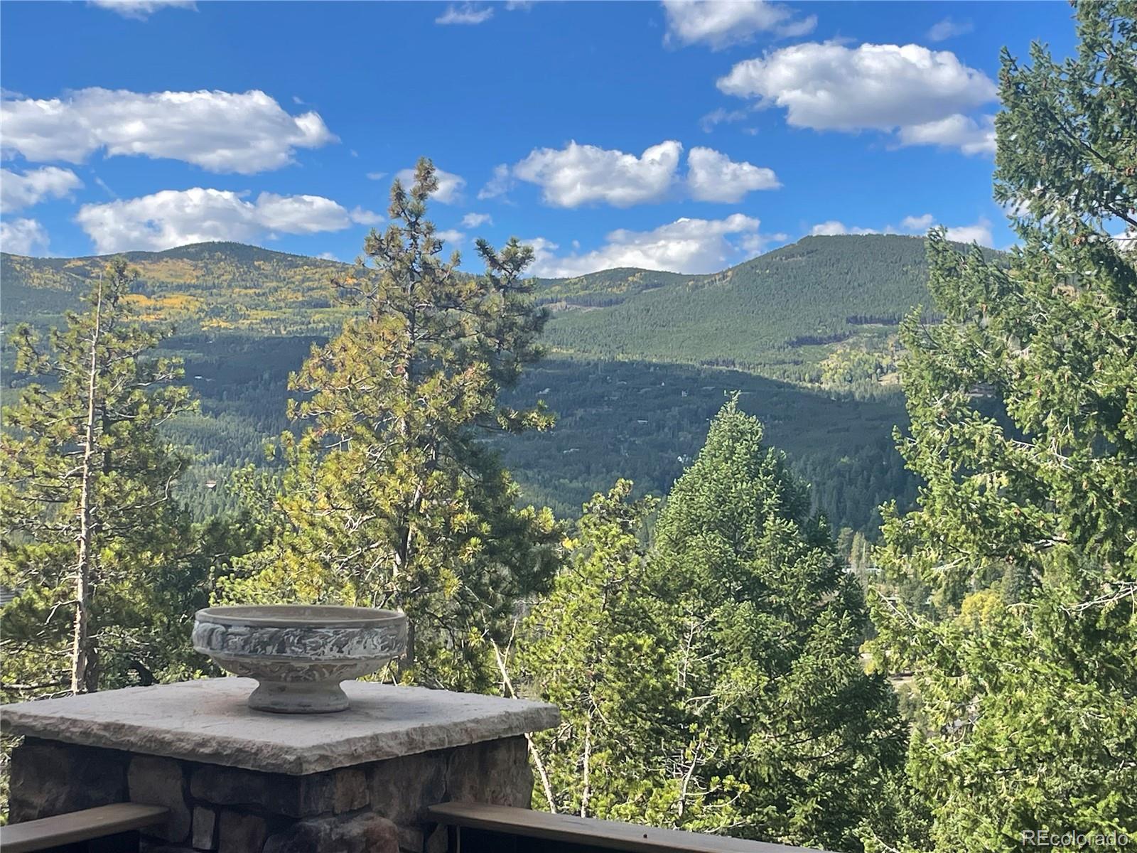 MLS Image #3 for 7147  lodgepole court,evergreen, Colorado