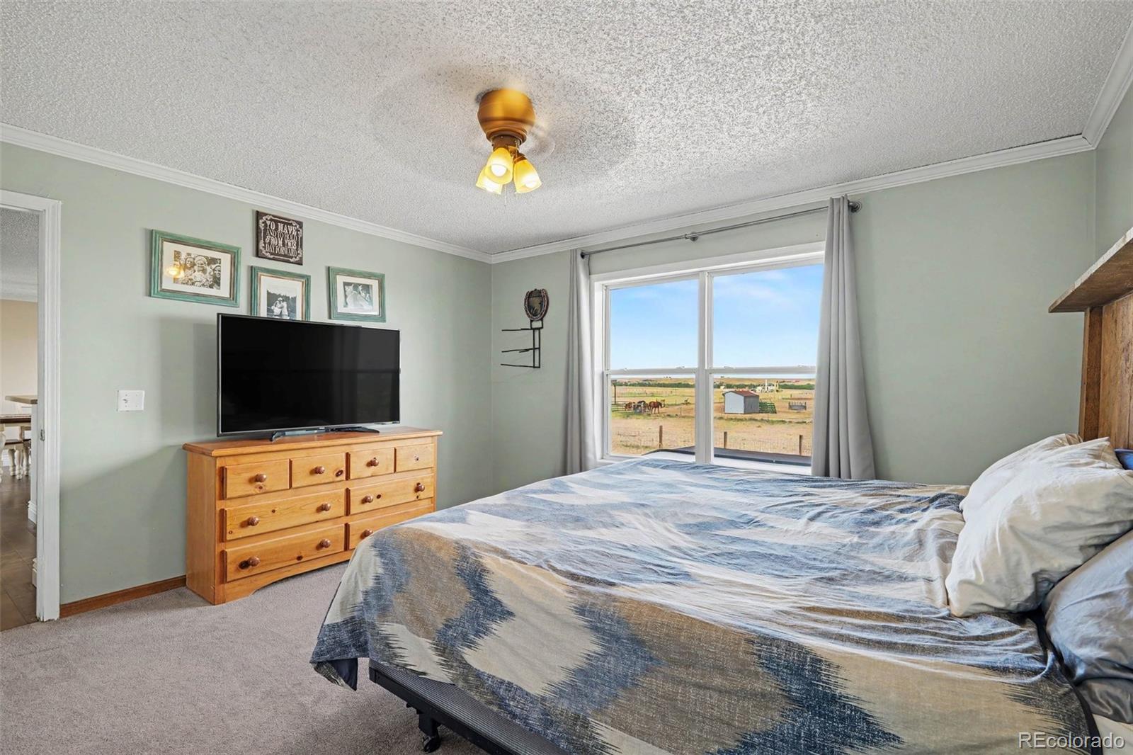 MLS Image #17 for 1277 s indianfield street,bennett, Colorado