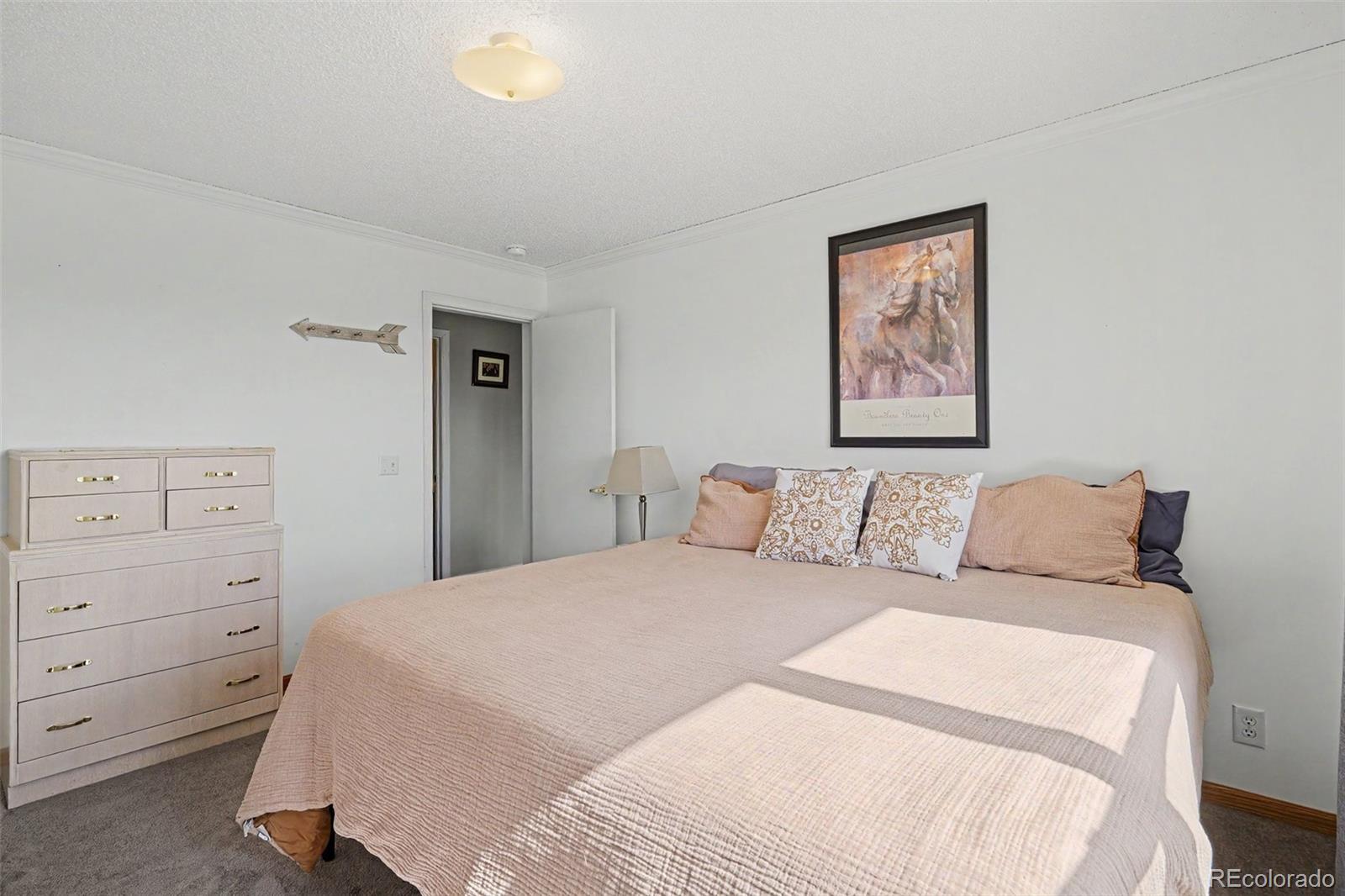 MLS Image #20 for 1277 s indianfield street,bennett, Colorado