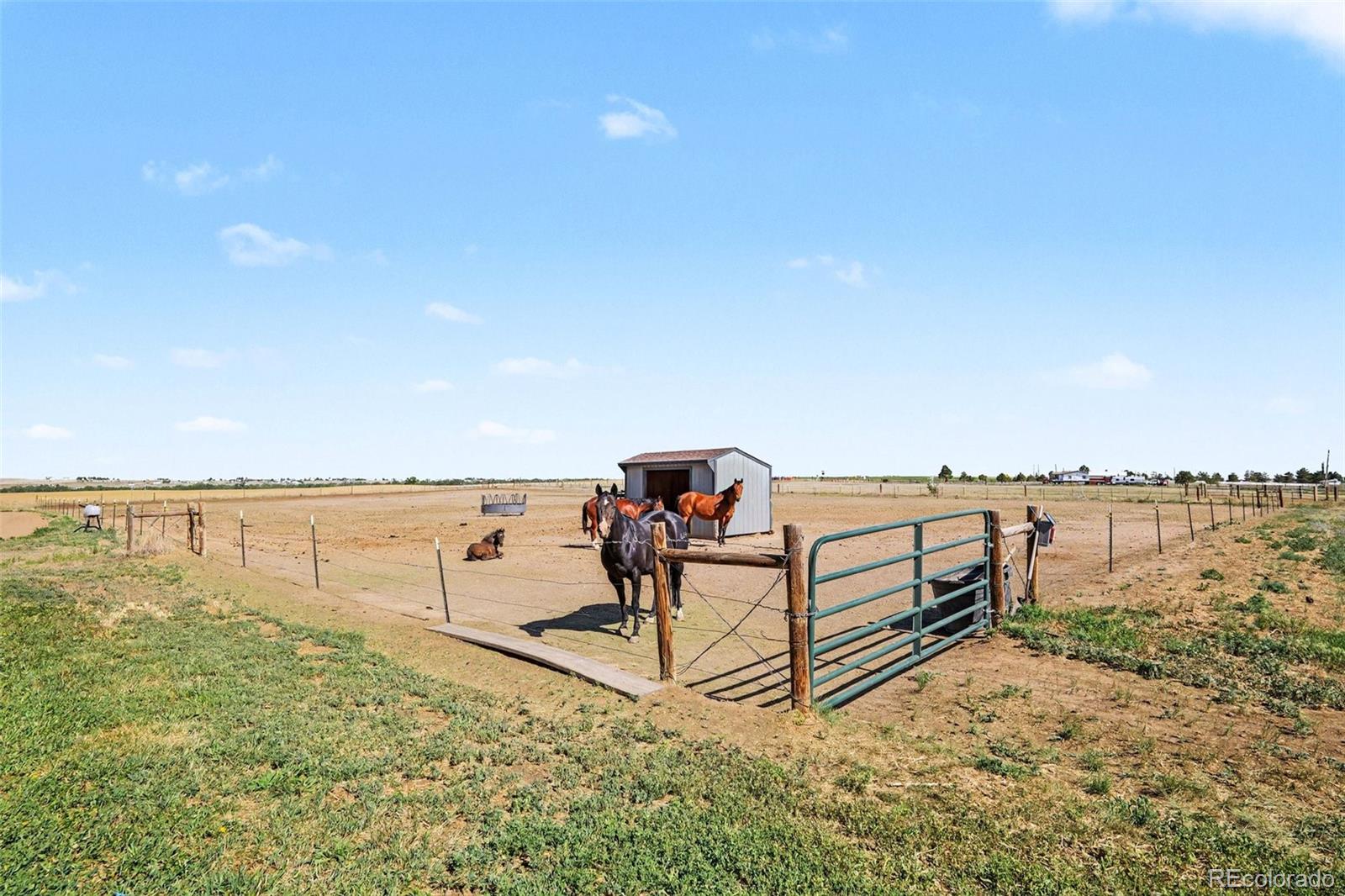 MLS Image #40 for 1277 s indianfield street,bennett, Colorado