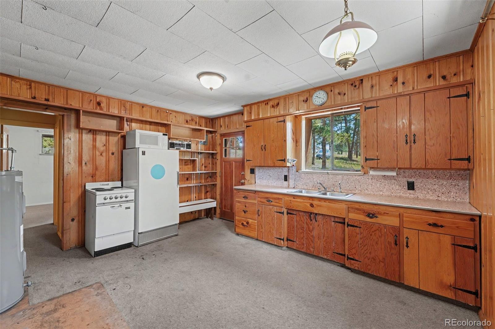 MLS Image #10 for 23300  pleasant park road,conifer, Colorado