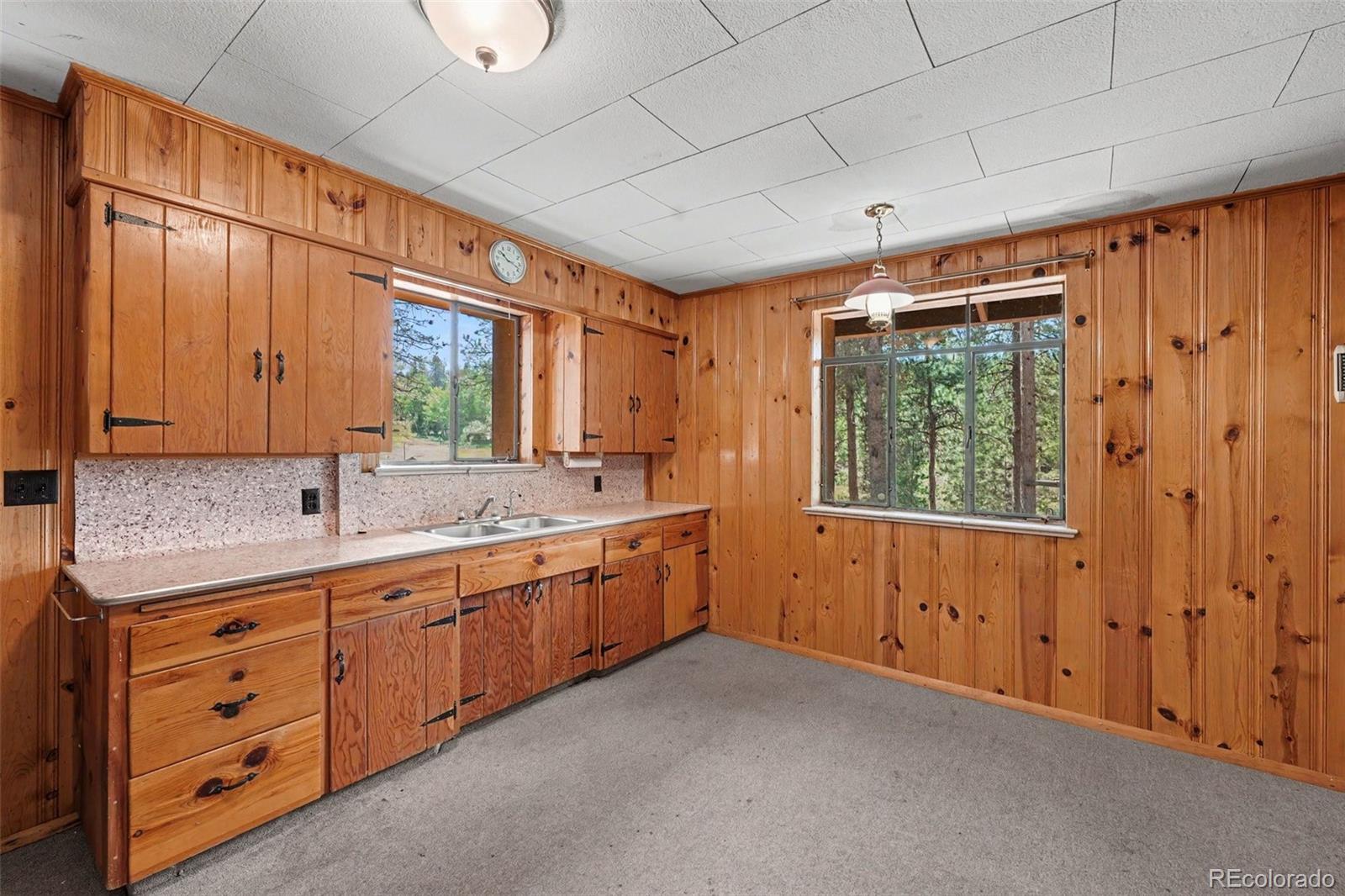 MLS Image #11 for 23300  pleasant park road,conifer, Colorado