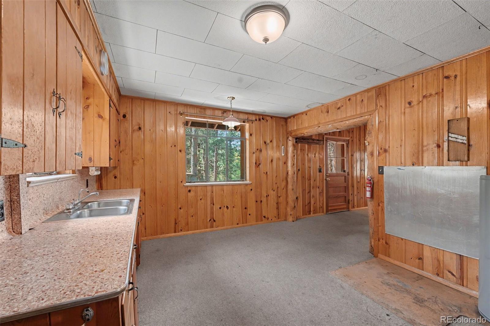 MLS Image #12 for 23300  pleasant park road,conifer, Colorado