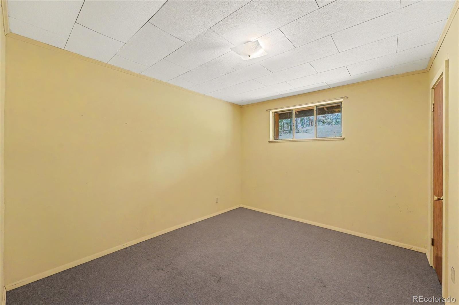 MLS Image #16 for 23300  pleasant park road,conifer, Colorado