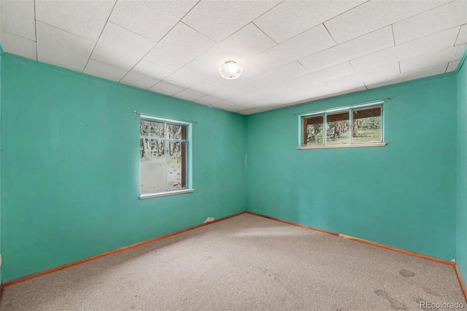MLS Image #18 for 23300  pleasant park road,conifer, Colorado