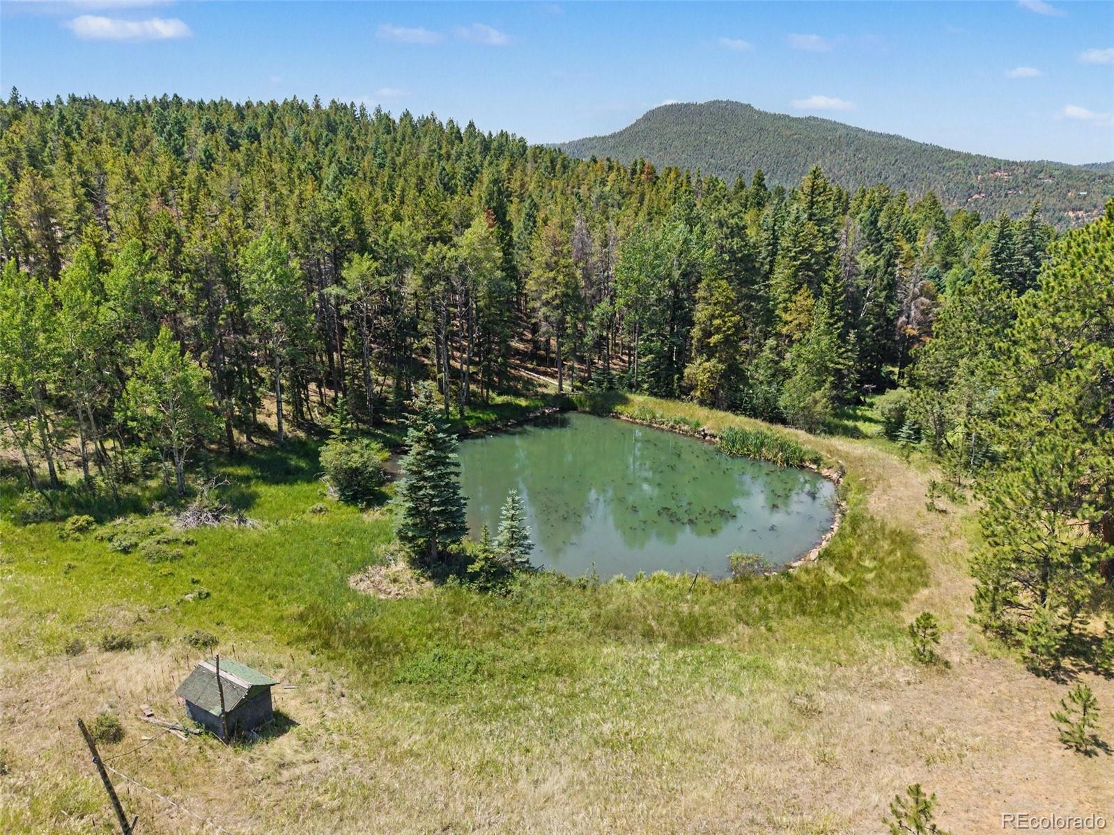 MLS Image #2 for 23300  pleasant park road,conifer, Colorado