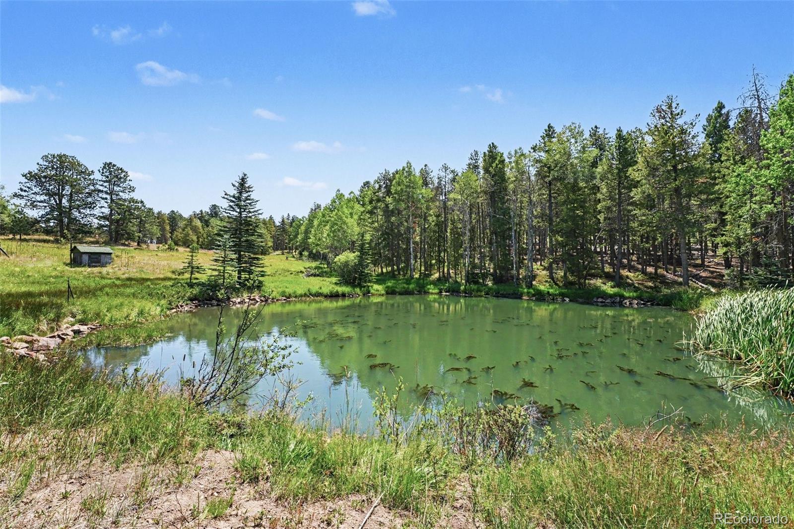 MLS Image #24 for 23300  pleasant park road,conifer, Colorado