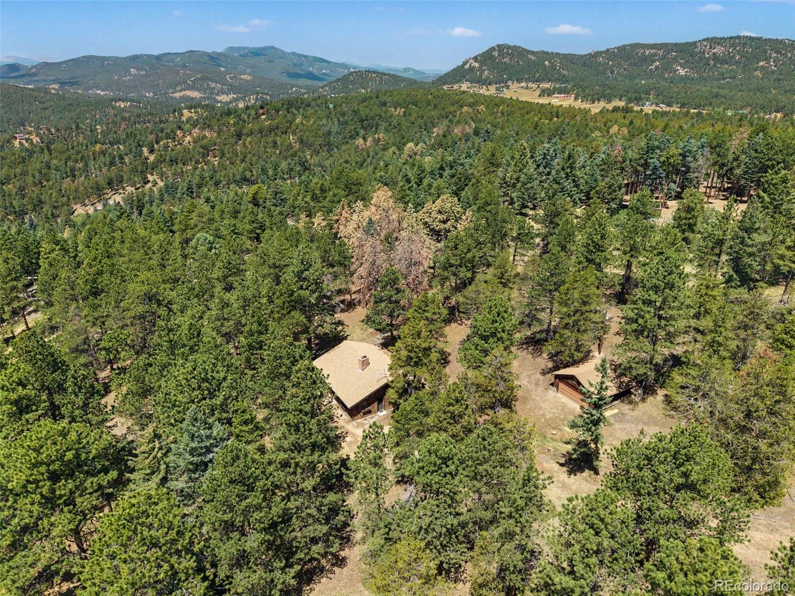 MLS Image #3 for 23300  pleasant park road,conifer, Colorado