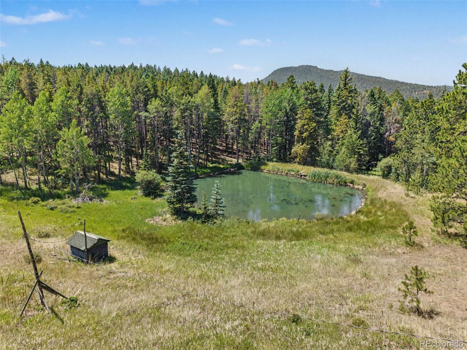 MLS Image #30 for 23300  pleasant park road,conifer, Colorado